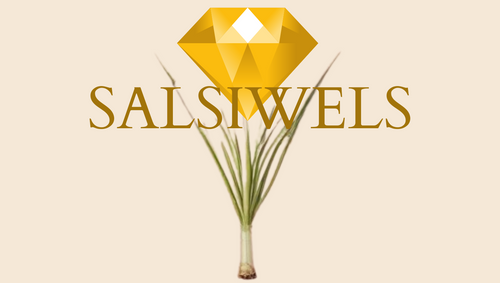 Salsiwels